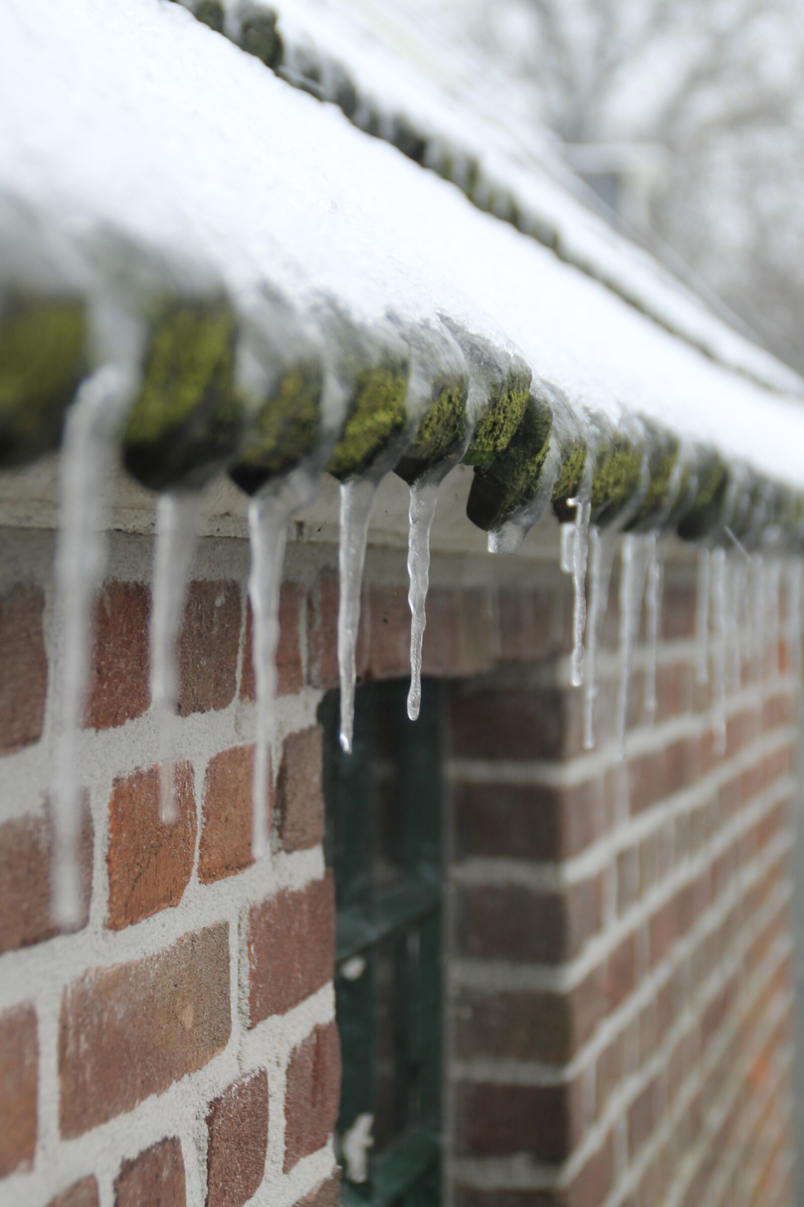 Canon EOS 1100D (EOS Rebel T3 / EOS Kiss X50) sample photo. Icicle, snow, winter photography