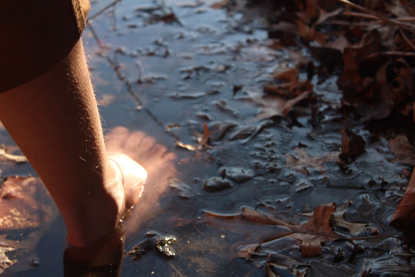 Canon EOS 1300D (EOS Rebel T6 / EOS Kiss X80) sample photo. Foot, leg, water photography