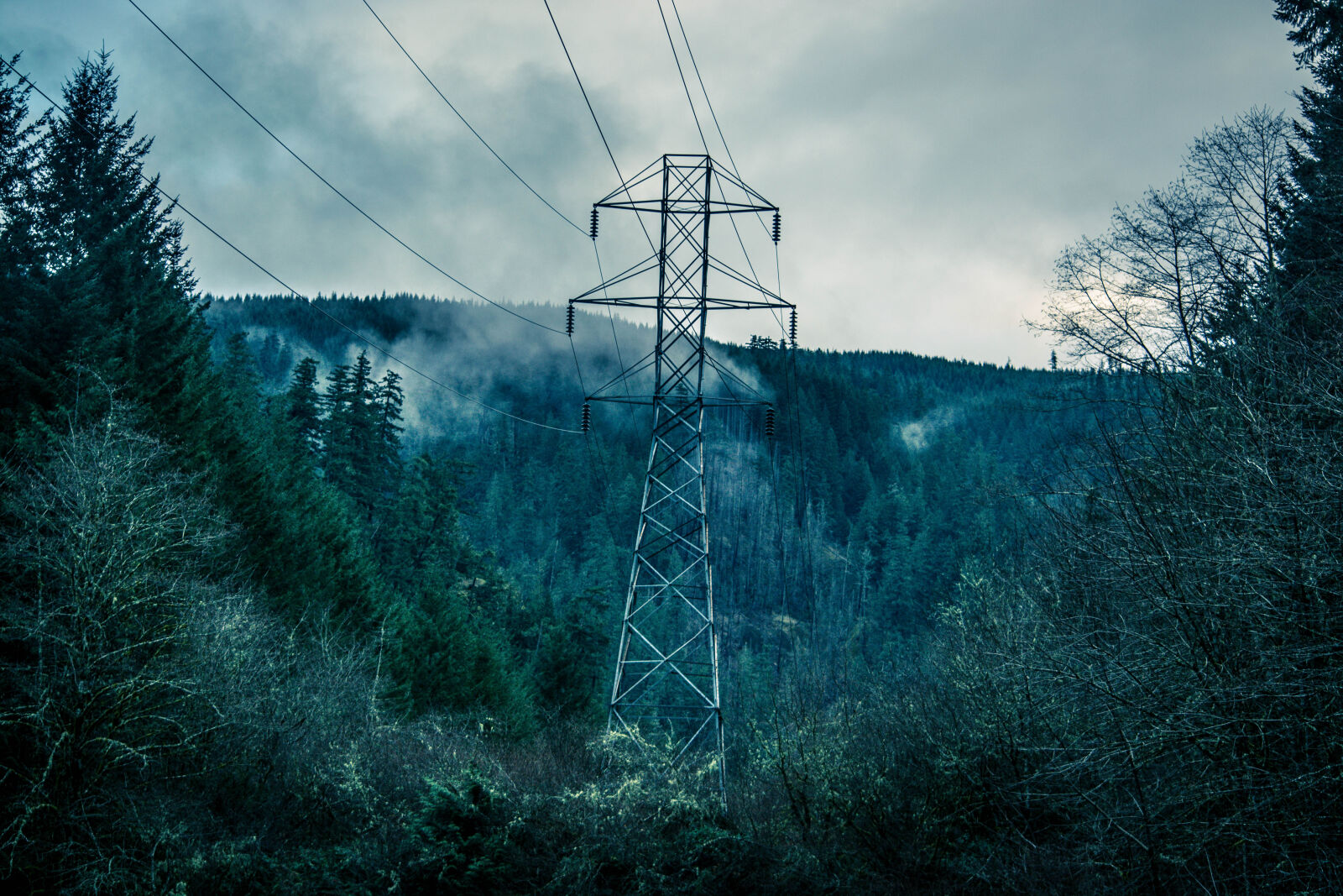 Nikon D5200 sample photo. Electricity, forest, power, line photography