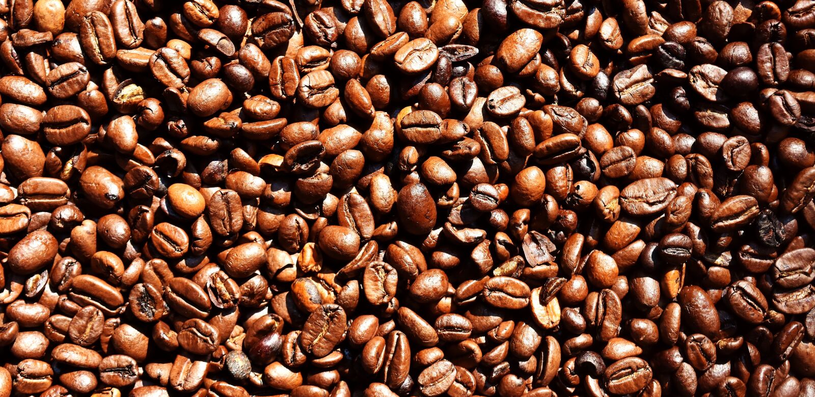 Nikon D7200 sample photo. Coffee beans, coffee, benefit photography