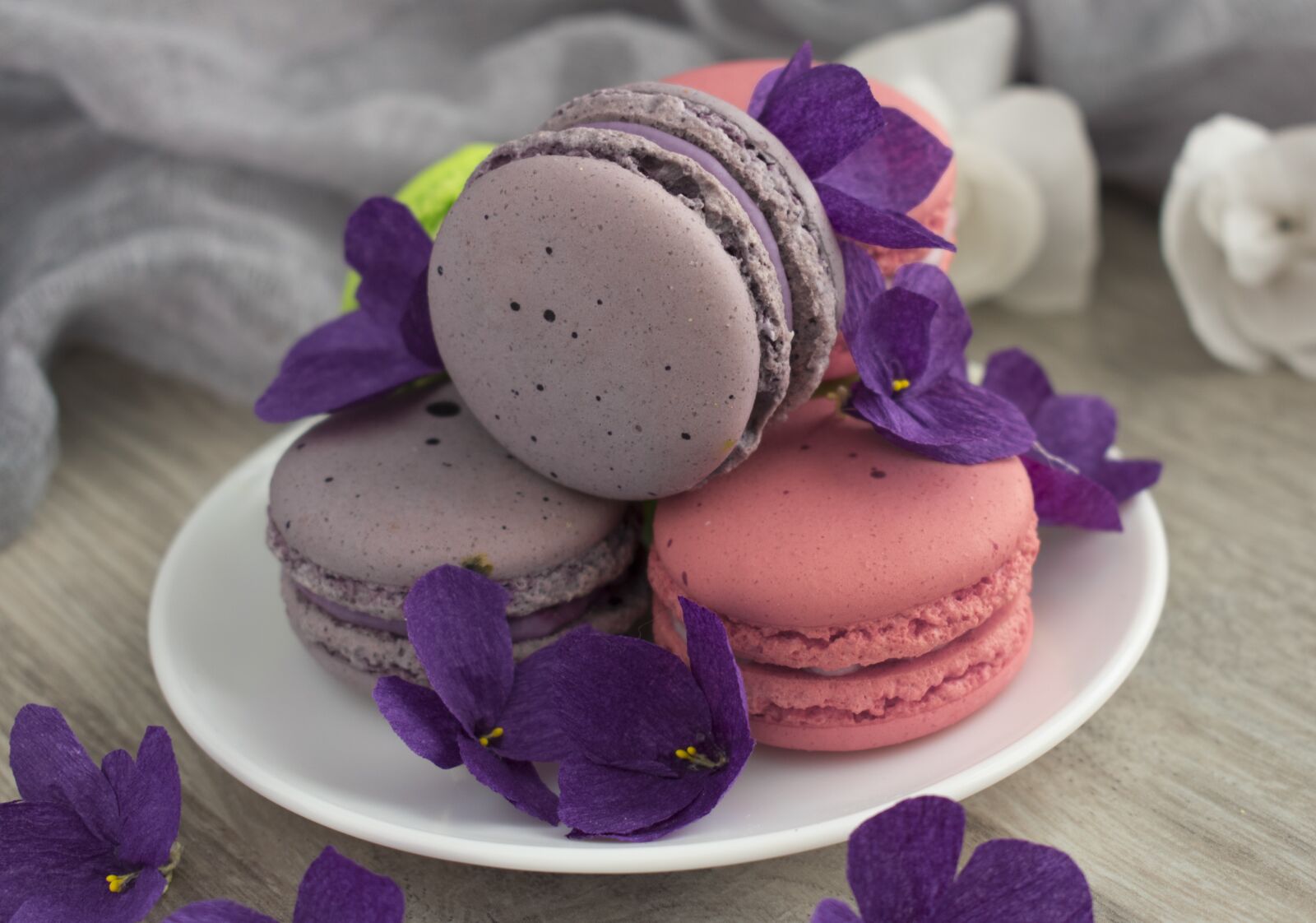 Nikon D3400 sample photo. Macaroons, macro, cookies photography