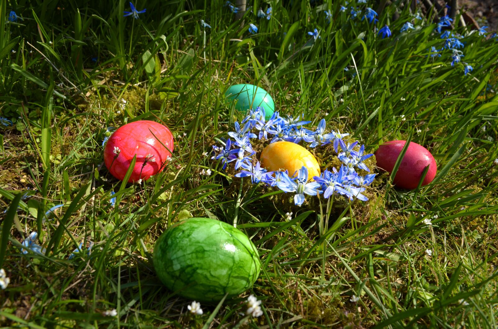 Nikon D5100 sample photo. Easter, colorful, egg photography