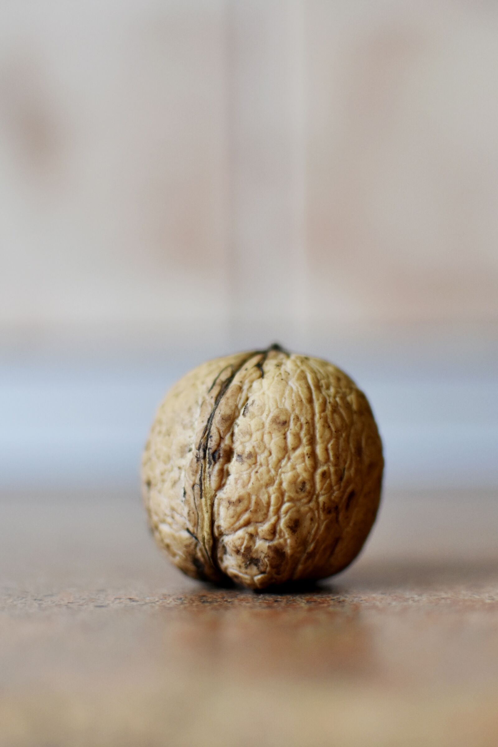 Nikon D7200 sample photo. Nut, walnut, omega source photography