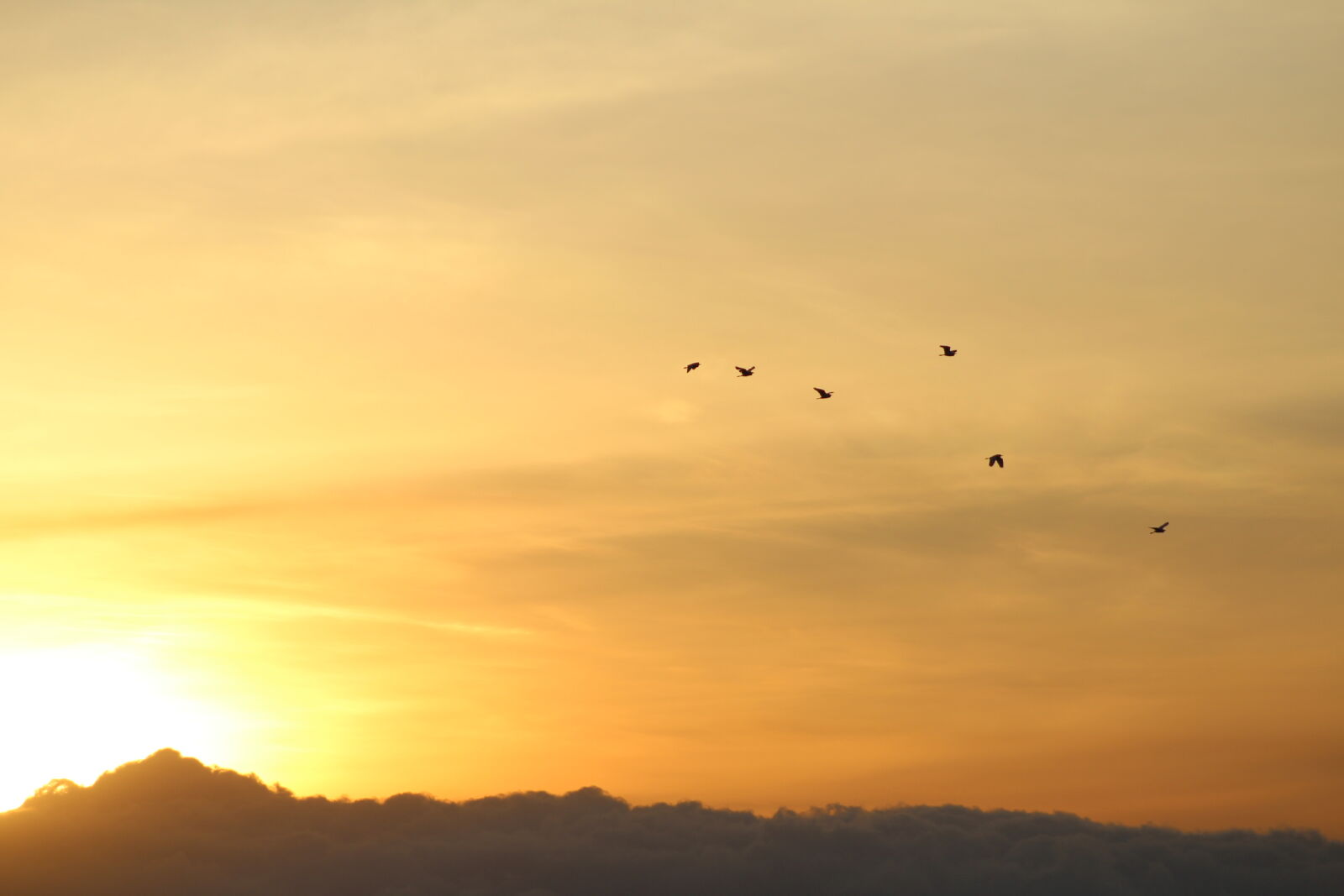 Canon EF 75-300mm f/4-5.6 sample photo