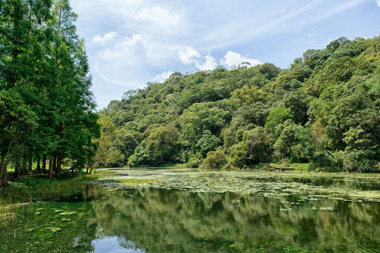 Nikon D750 sample photo. Landscape, lake view, taiwan photography