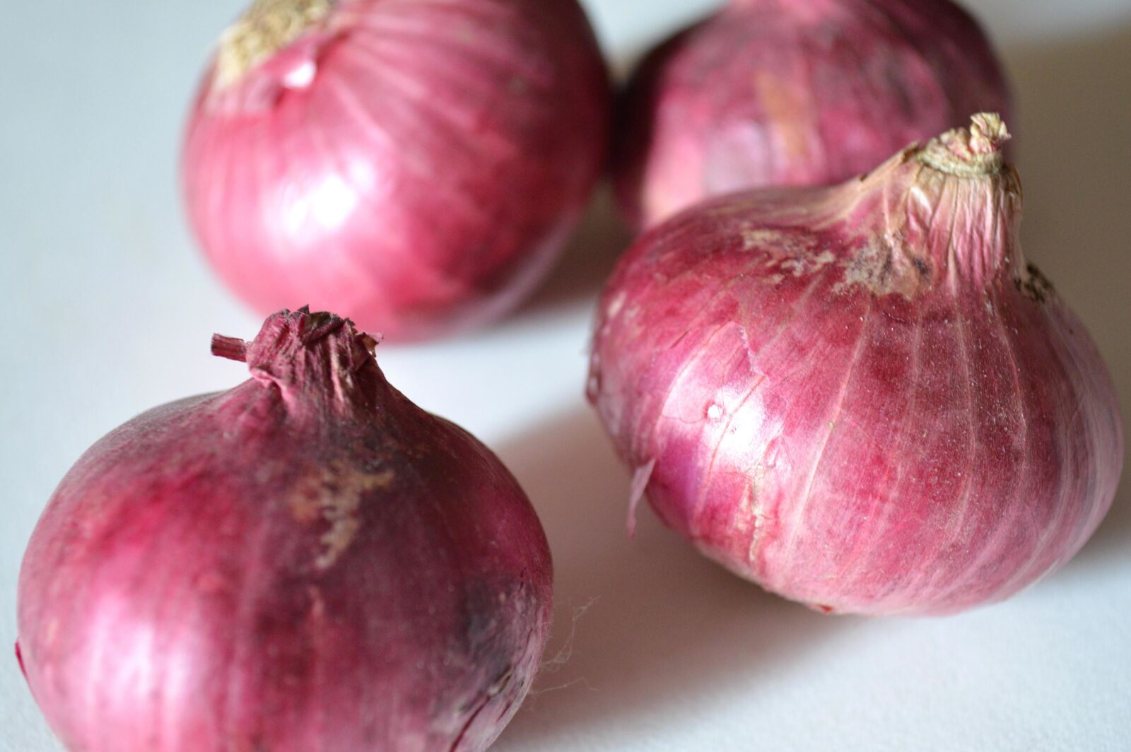 Nikon D3200 sample photo. Red, onion, food, vegetable photography