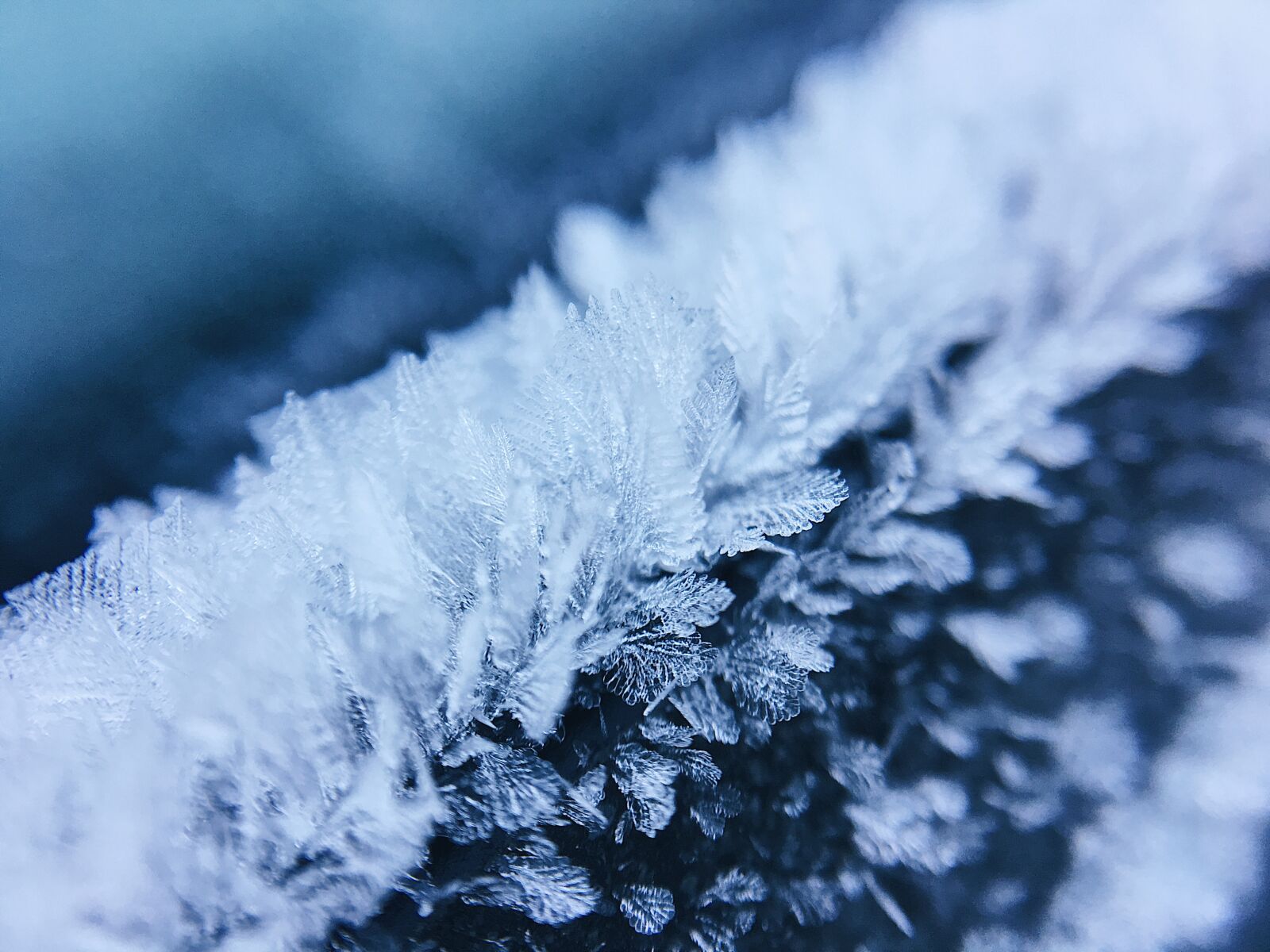 iPhone 6s back camera 4.15mm f/2.2 sample photo. Abstract, art, bright, cold photography