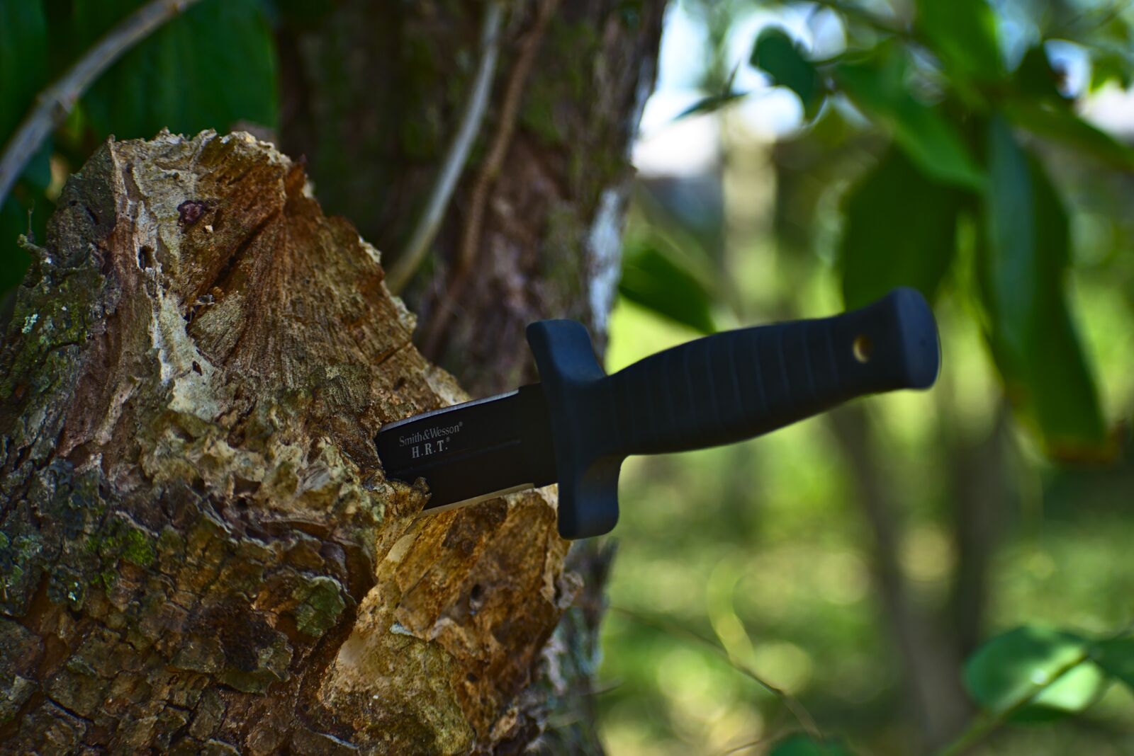 Nikon D7200 sample photo. Stab knife, tree, wood photography