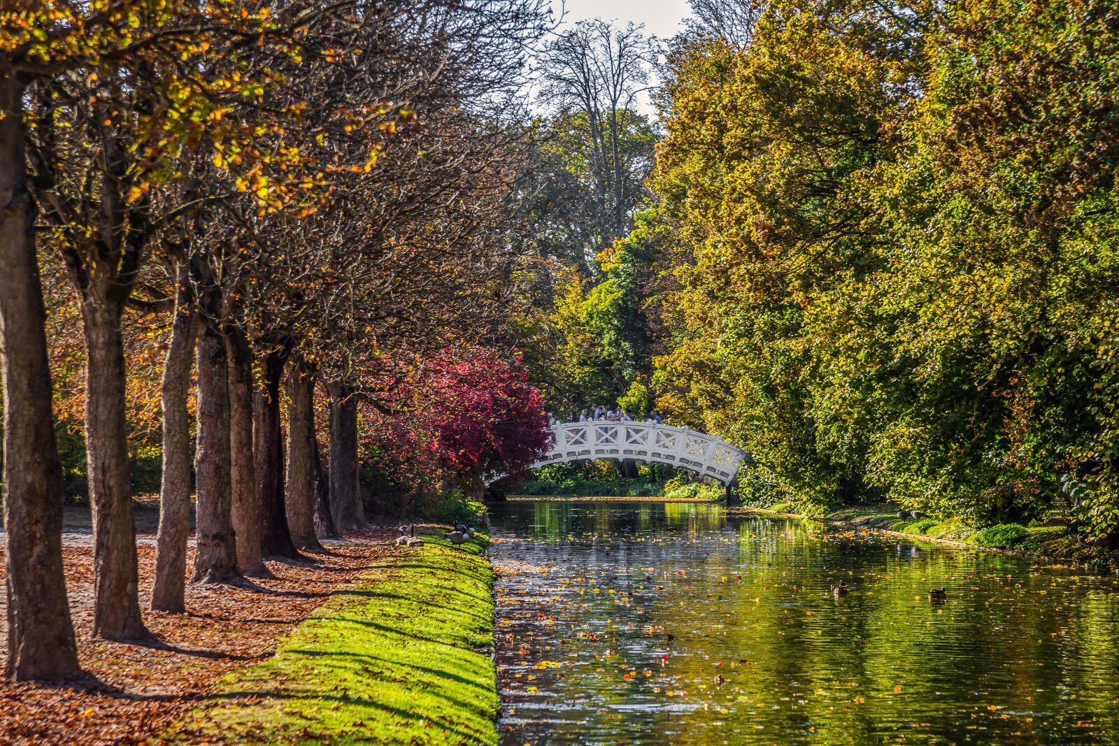 Canon EF 24-105mm F4L IS USM sample photo. Schwetzingen, schlossgarten, castle park photography