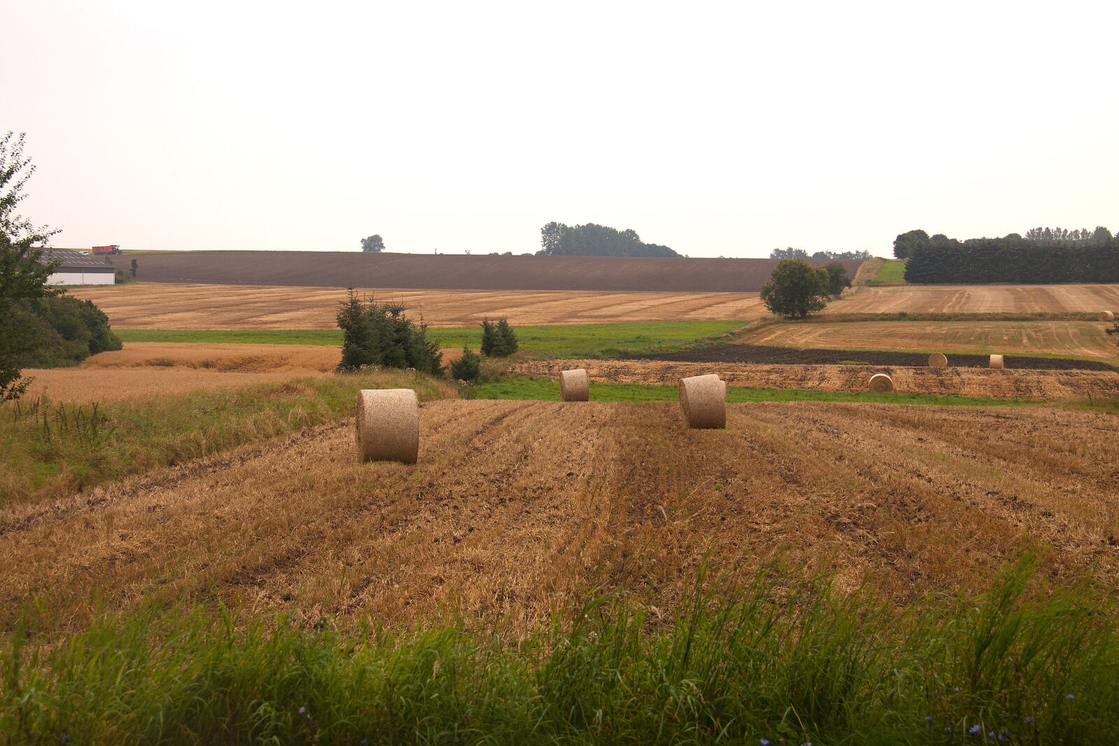 Canon EOS 50D sample photo. Harvest, hay-balls, field photography