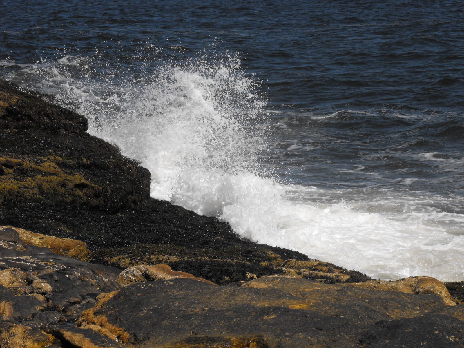 Fujifilm FinePix S1000fd sample photo. Wave, splash, ocean photography
