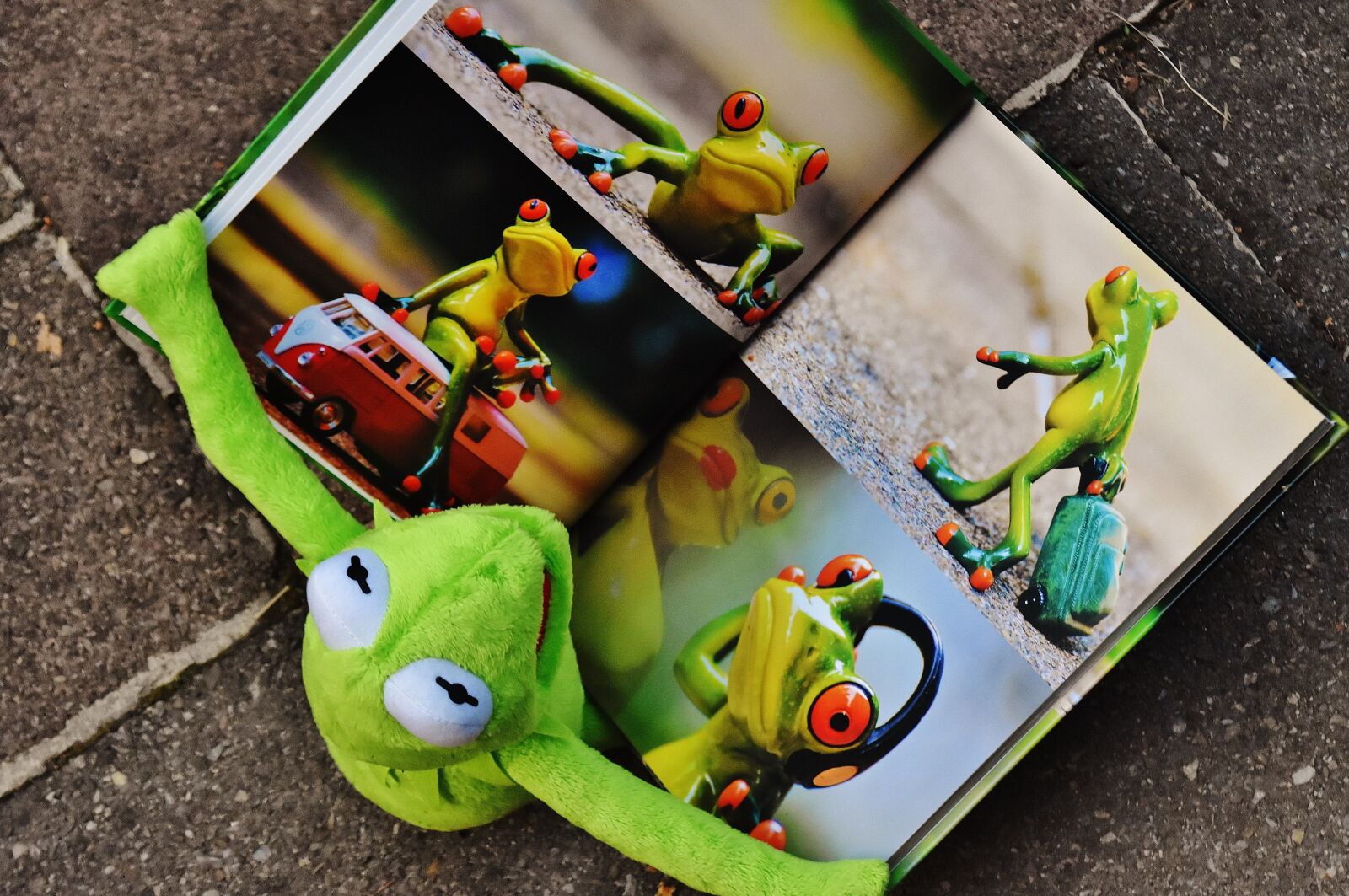 Nikon D7200 sample photo. Kermit, book, picture book photography