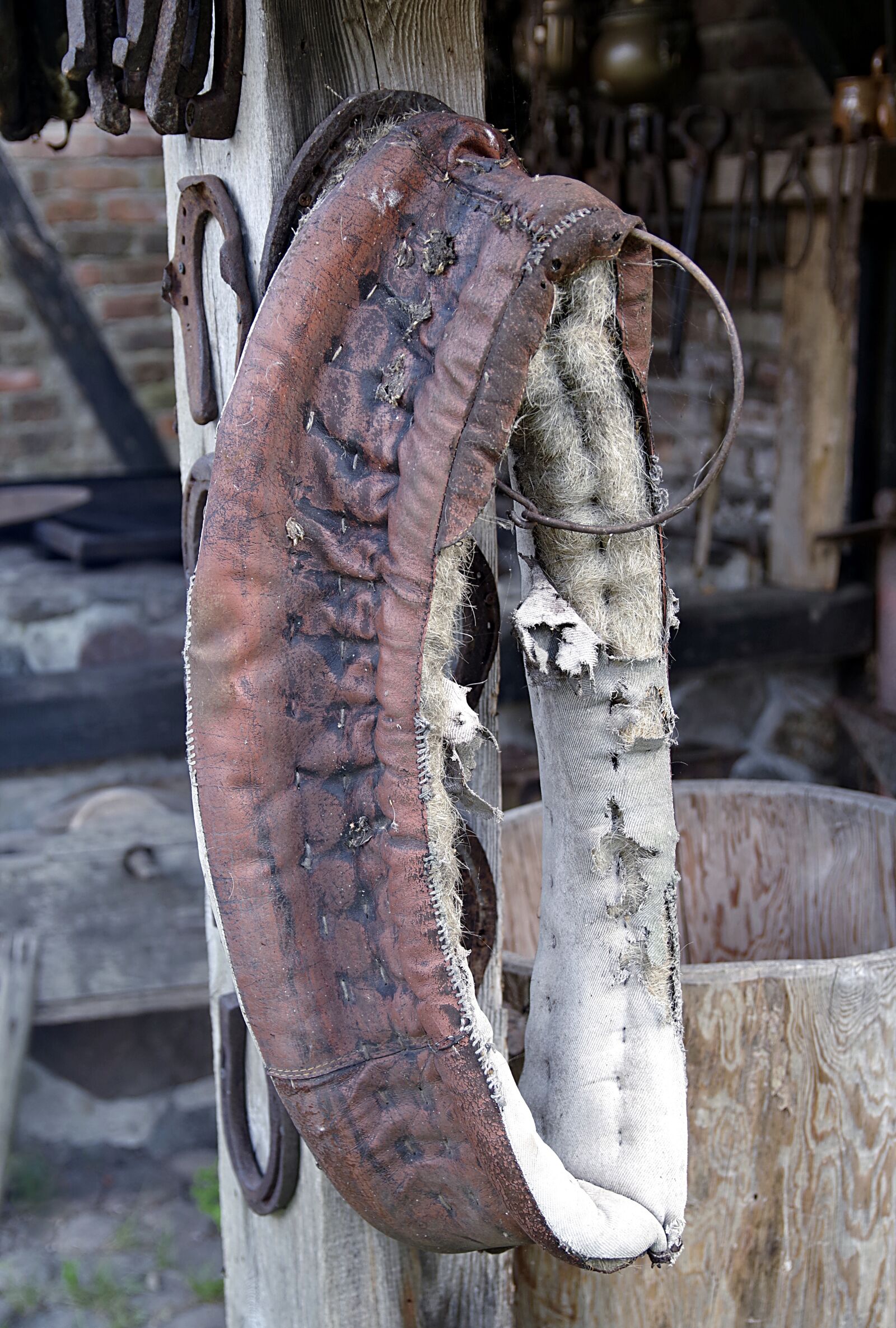 Pentax K-S2 sample photo. Horse collar, horse hide photography