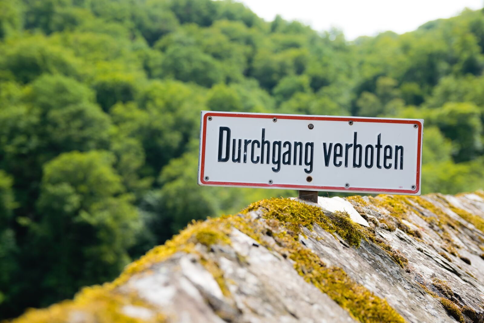 Nikon D3300 sample photo. Sign, forbidden, no entry photography