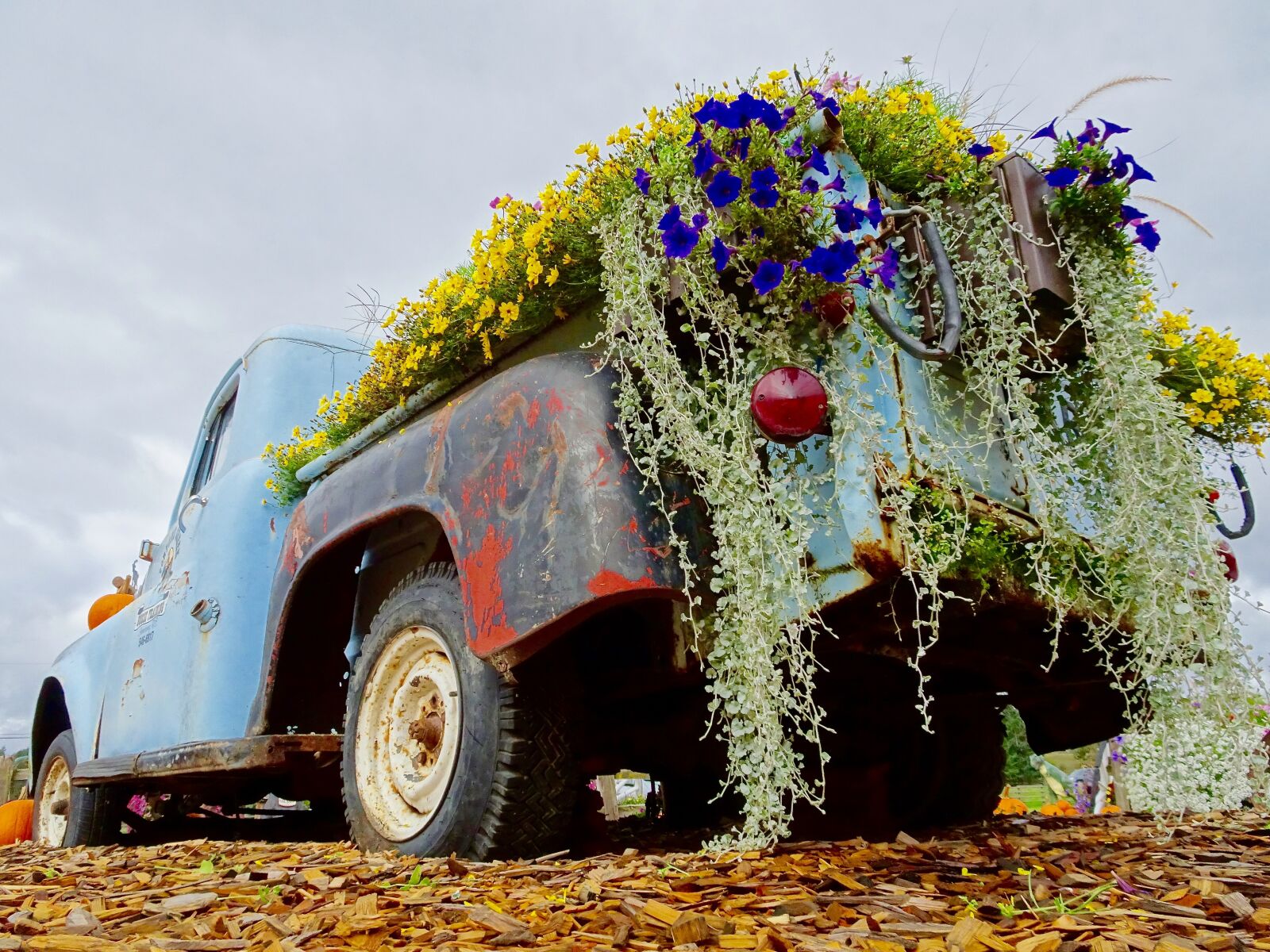 Sony Cyber-shot DSC-HX90V sample photo. Truck, retro, flowers photography