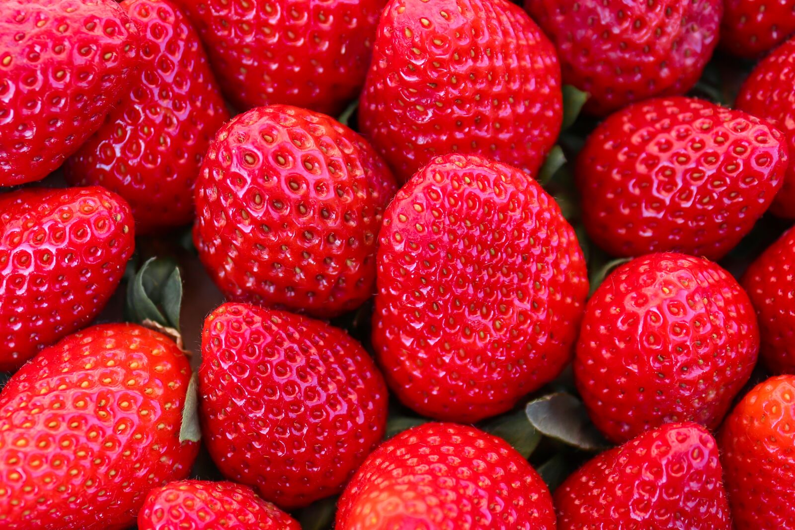Canon EOS 200D (EOS Rebel SL2 / EOS Kiss X9) sample photo. Strawberries, fruit, red photography