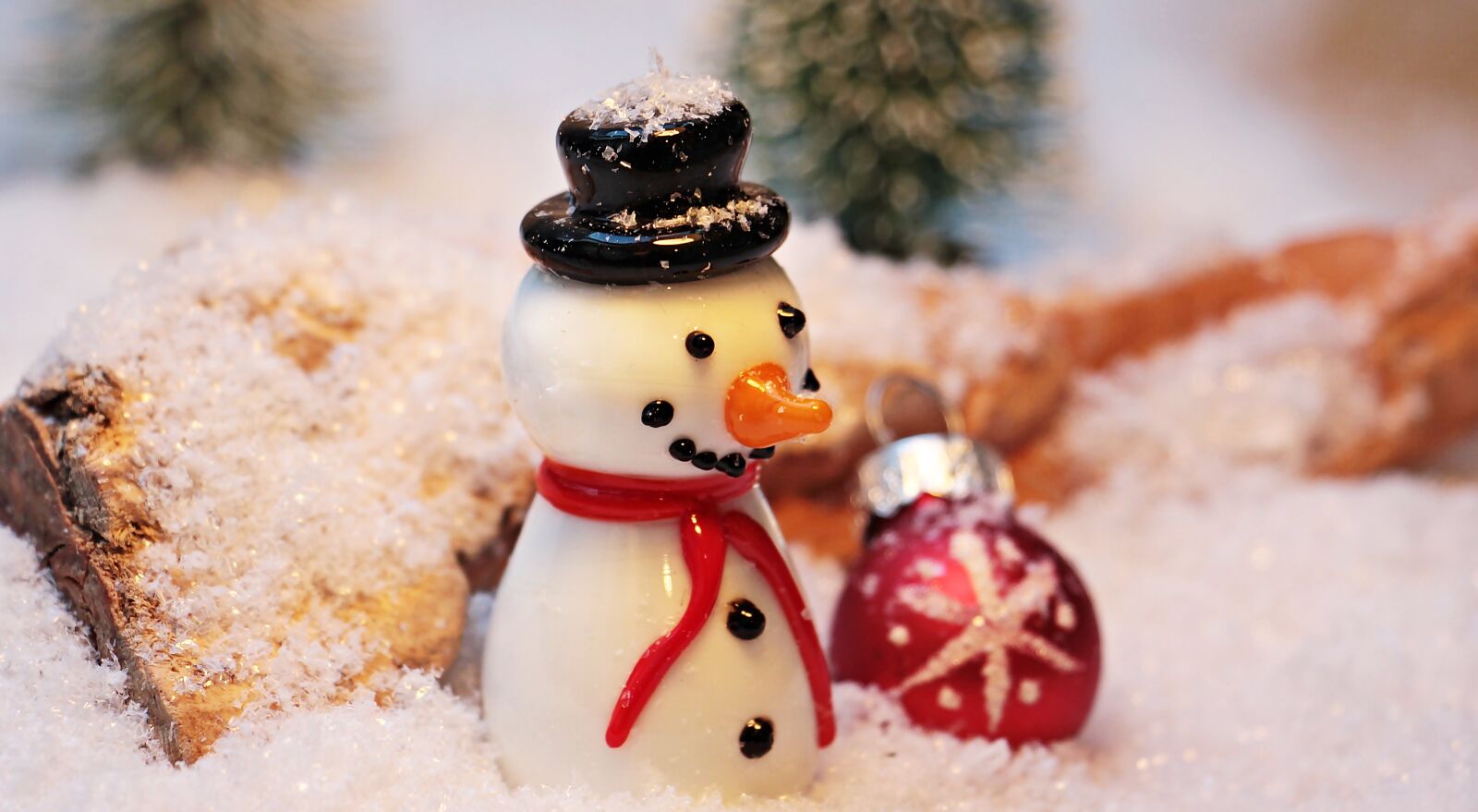 Canon EOS 550D (EOS Rebel T2i / EOS Kiss X4) sample photo. Snowman, snow, winter photography