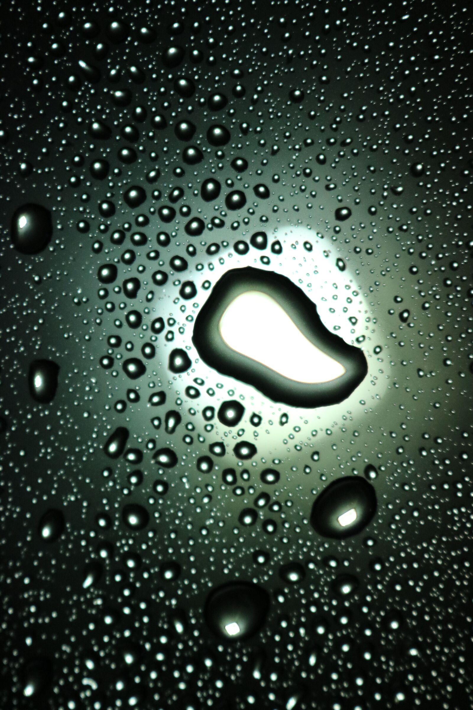 Canon EOS 750D (EOS Rebel T6i / EOS Kiss X8i) sample photo. Rain, drop, rainy photography
