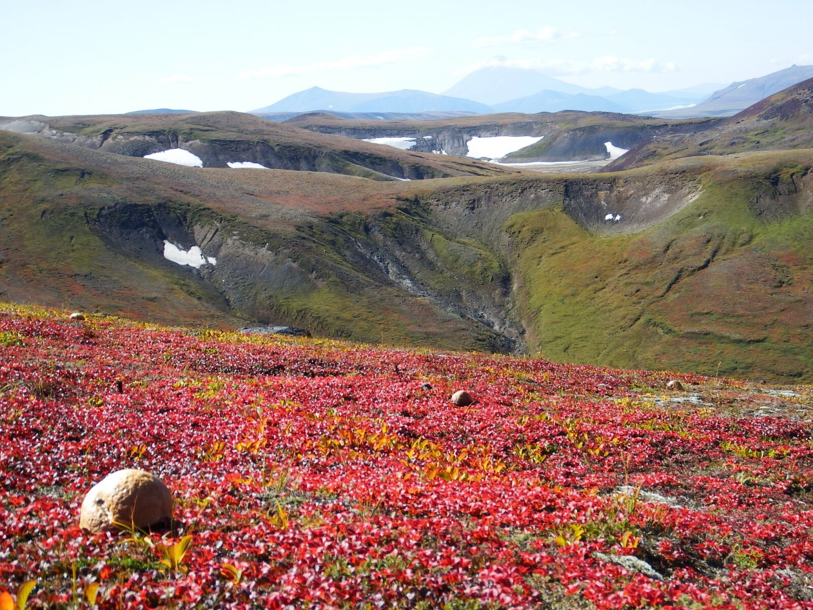 Fujifilm FinePix S1 sample photo. Mountains, volcano, mushrooms photography