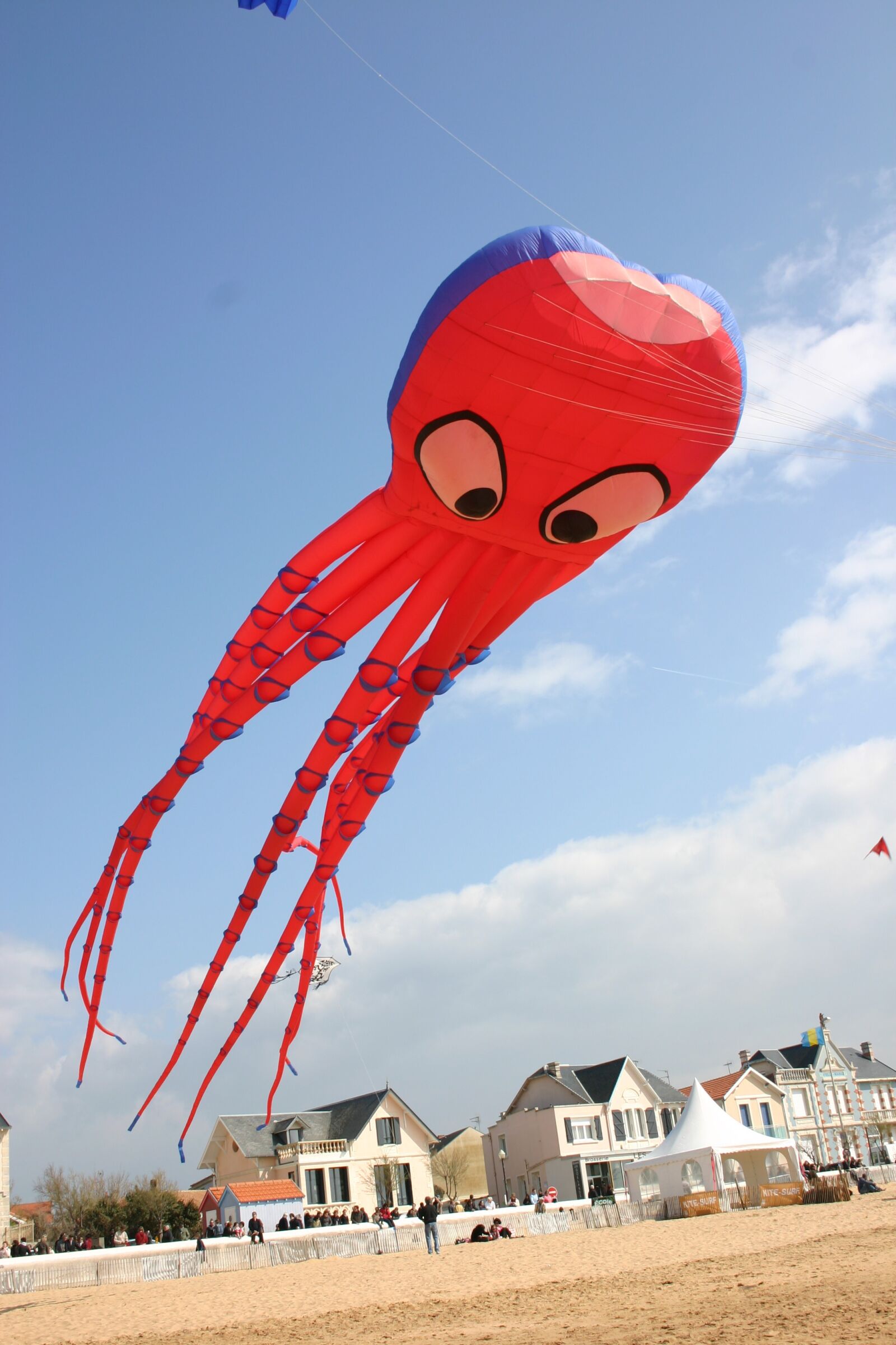 Canon EOS 300D (EOS Digital Rebel / EOS Kiss Digital) sample photo. Octopus, kite, beach photography
