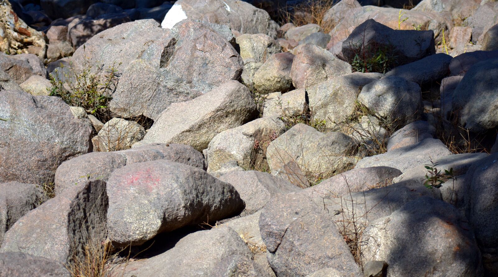 Nikon D5600 sample photo. Rock, nature, stone photography