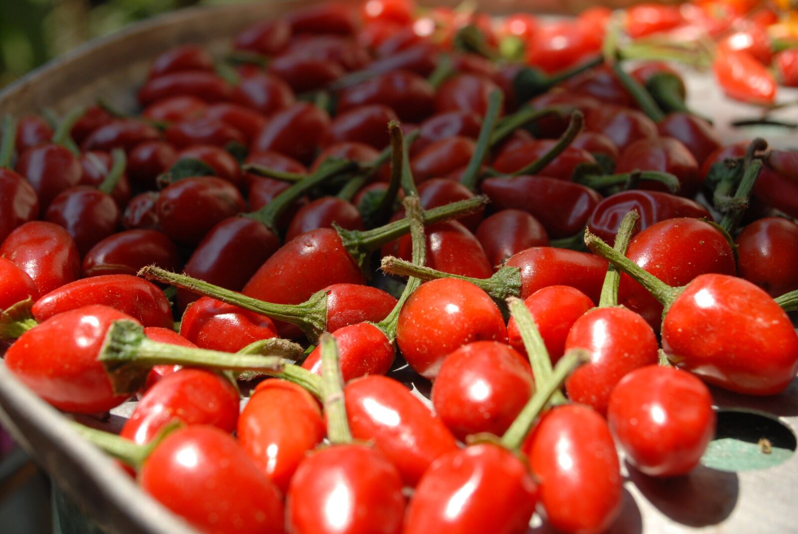 Nikon D200 sample photo. Chile, chiles, nature photography