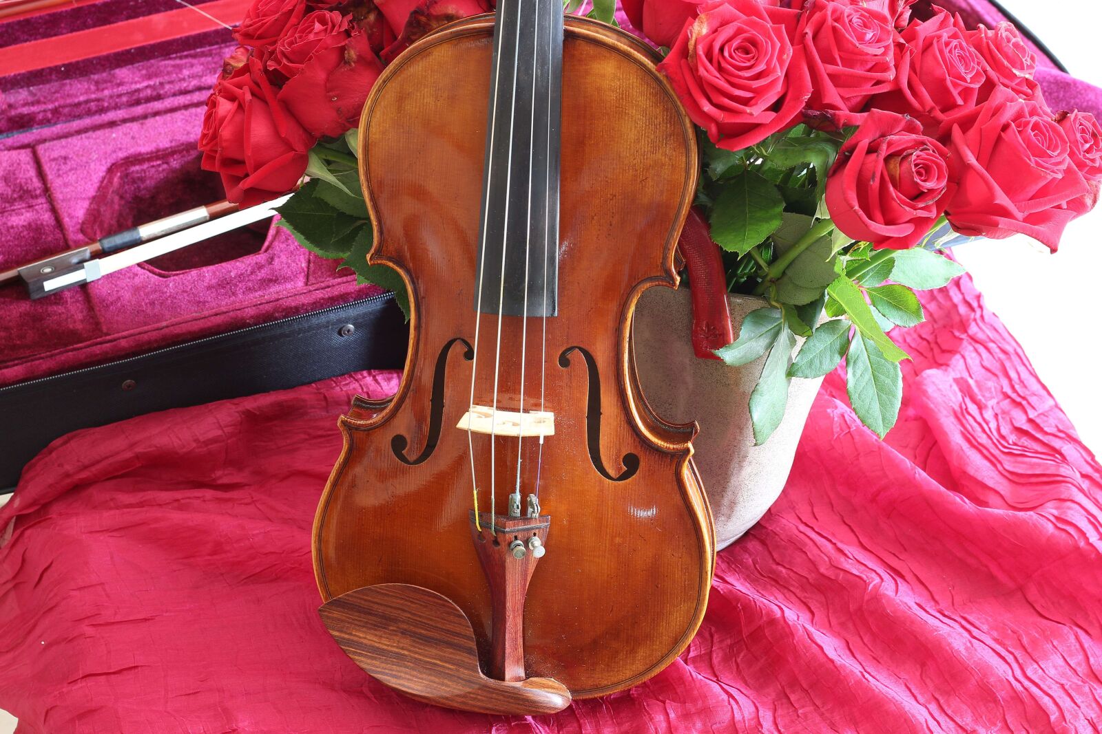 Canon EOS 700D (EOS Rebel T5i / EOS Kiss X7i) sample photo. Violin, viola, red photography
