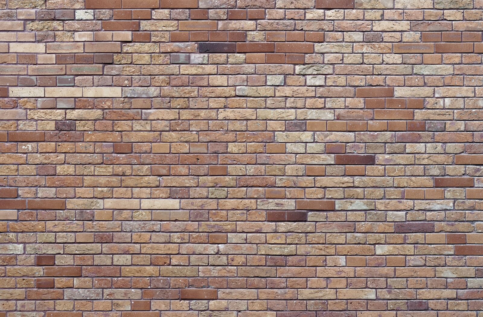 Nikon D5100 sample photo. Wall, bricks, red photography