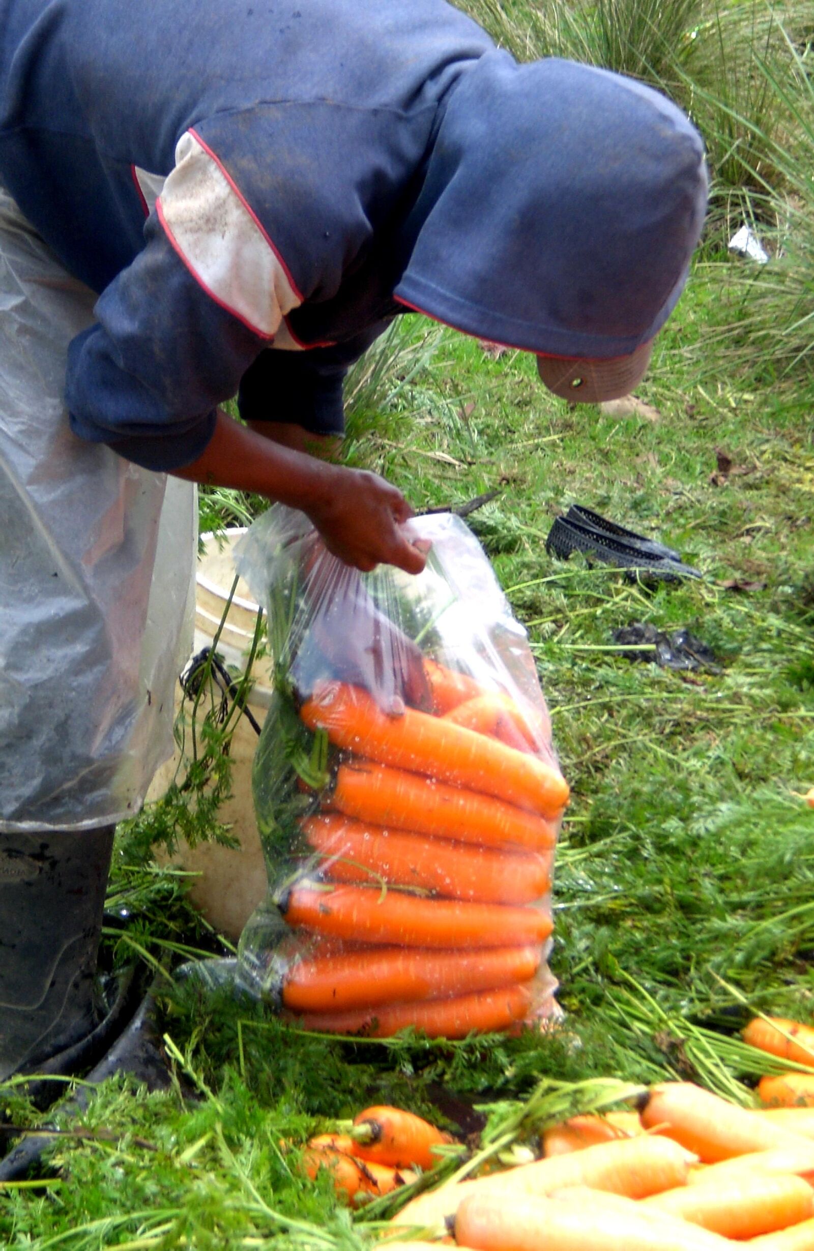 CASIO EX-Z75 sample photo. Worker, village, caman, packs photography