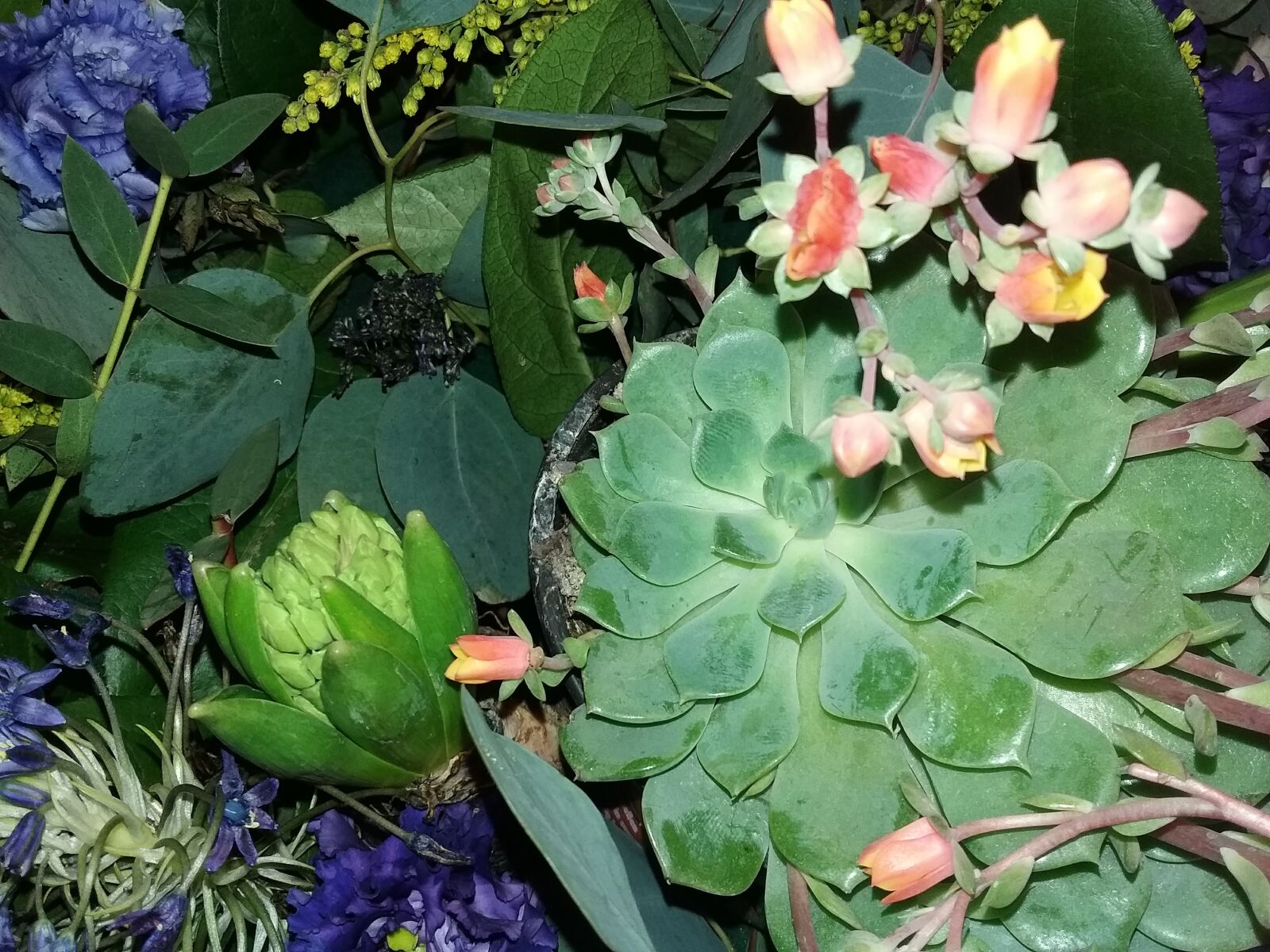 Samsung Galaxy J3(2016) sample photo
