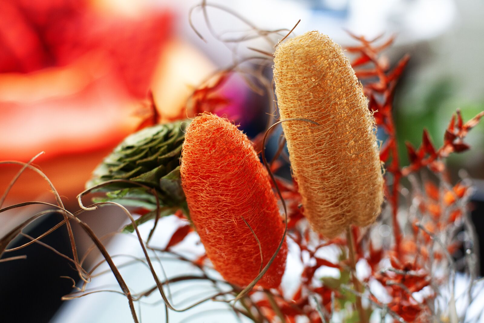Canon EOS 5D Mark II sample photo. Dried flowers, composition, decoration photography