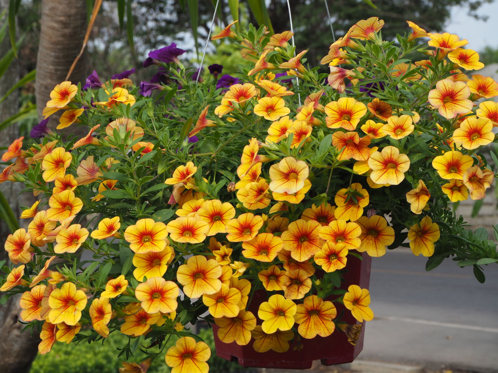 Olympus OM-D E-M10 II sample photo
