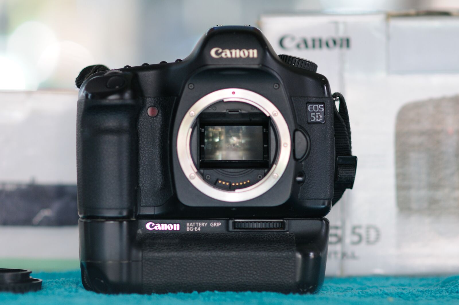 Nikon D300 sample photo. Camera, lens, digital photography