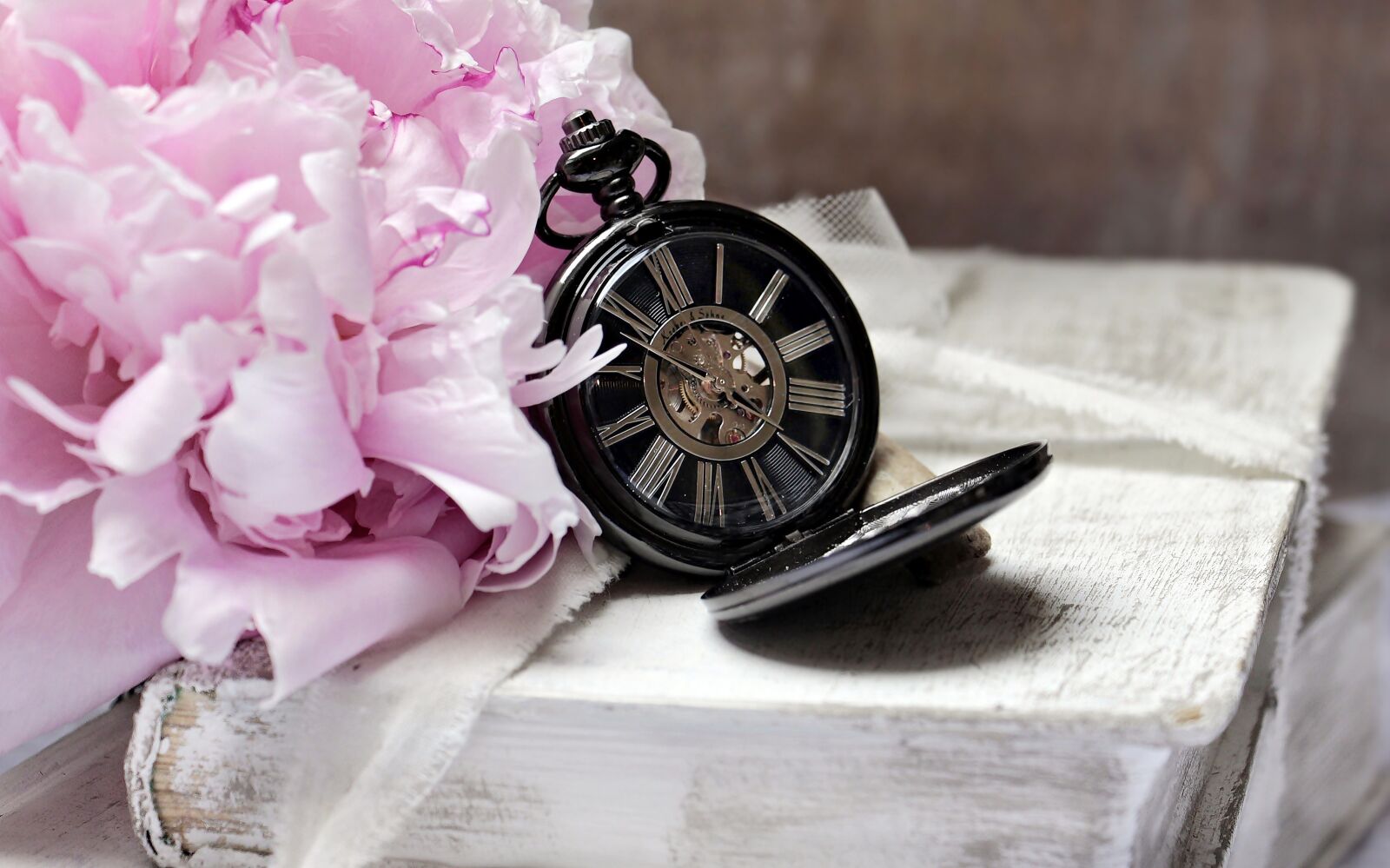 Canon EOS 100D (EOS Rebel SL1 / EOS Kiss X7) sample photo. Books, pocket watch, peony photography