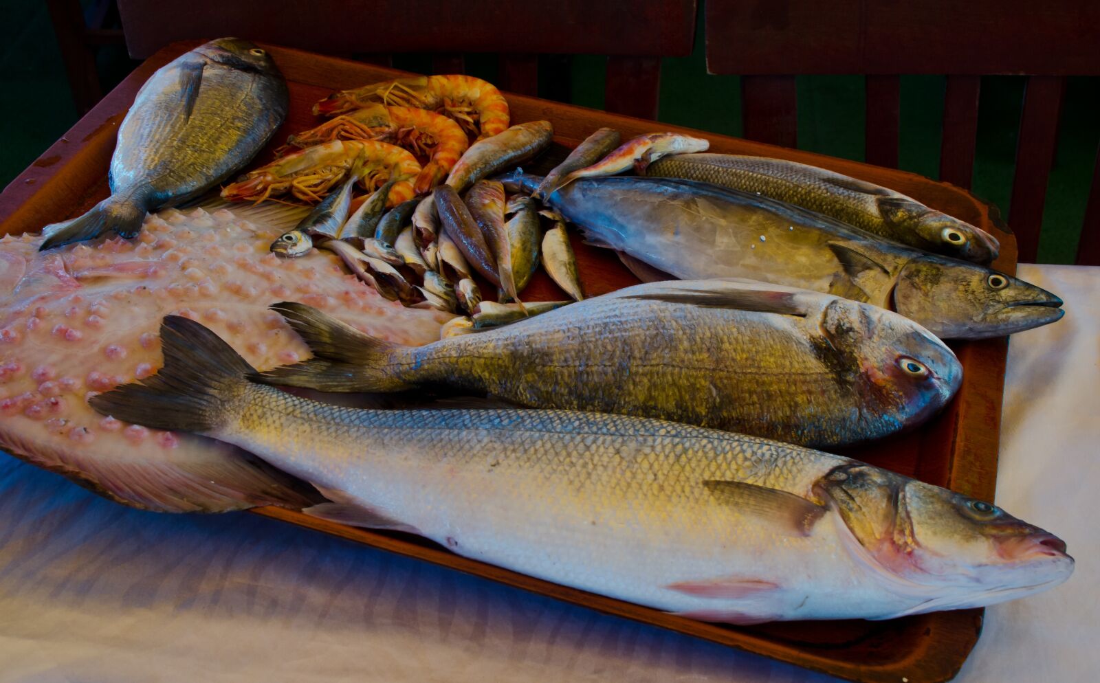 Nikon D7000 sample photo. Fish, sea, fisherman photography
