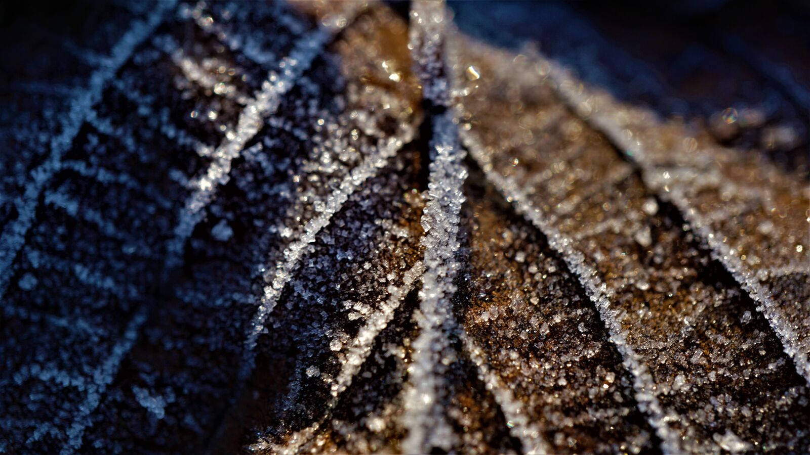 Sony E 30mm F3.5 Macro sample photo. Eiskristalle, background, nature photography