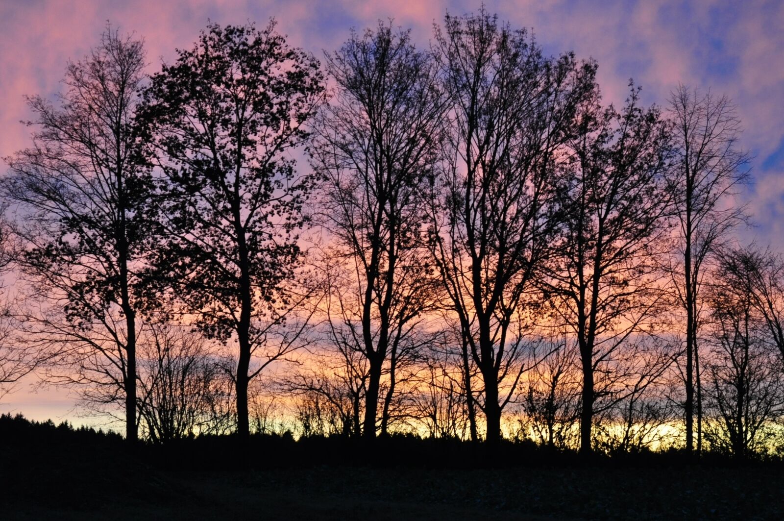 Nikon D90 sample photo. Trees, sky, sunrise photography