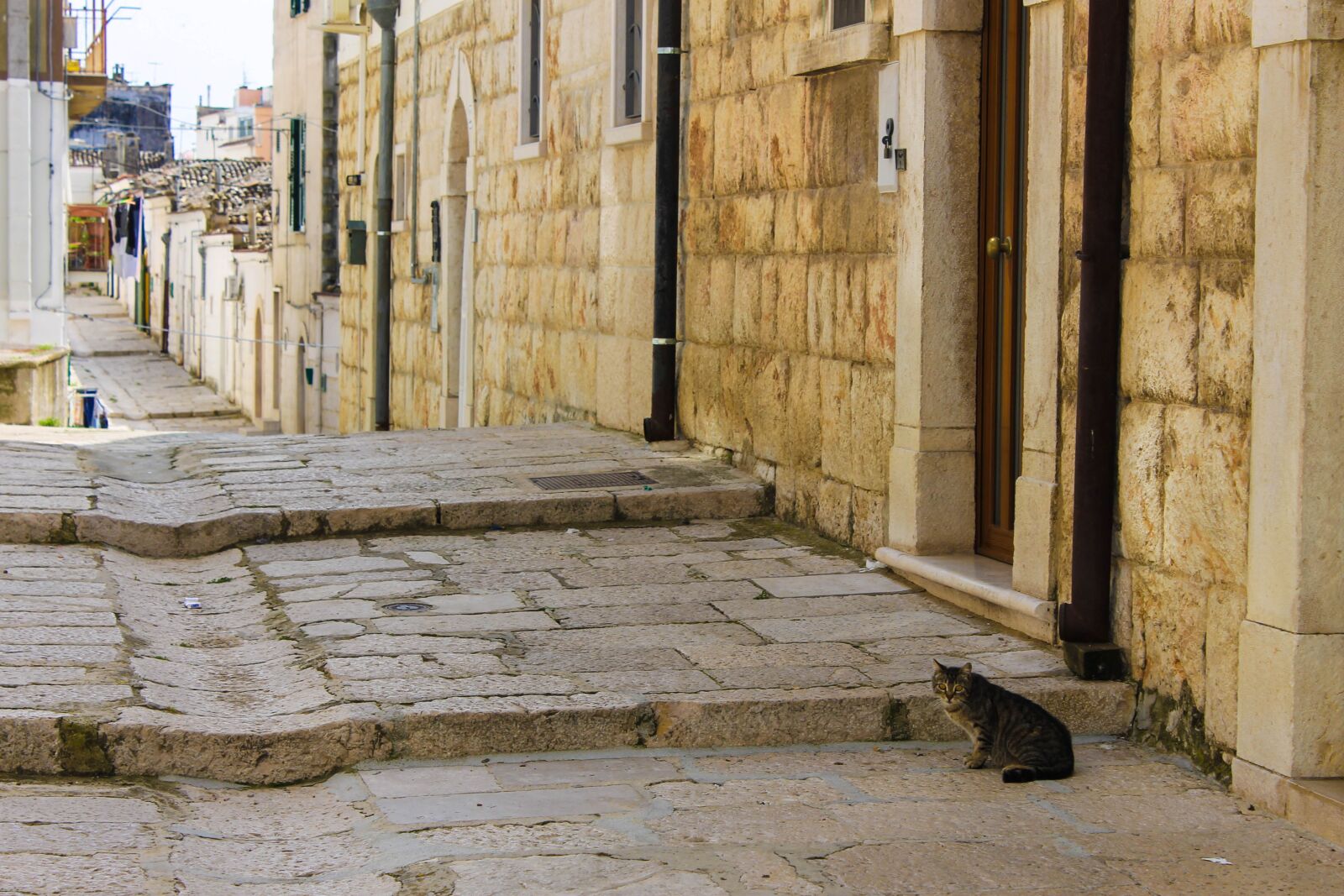 Canon EOS 1100D (EOS Rebel T3 / EOS Kiss X50) sample photo. Puglia, apulia, murgia photography