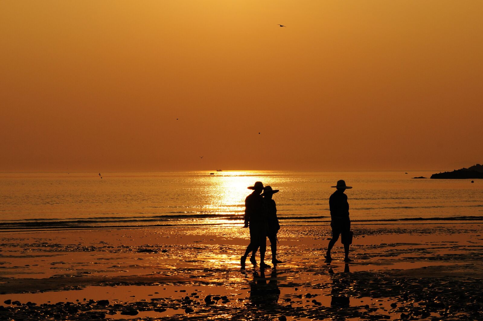 Nikon D300S sample photo. Beach, sunset, silhouette photography