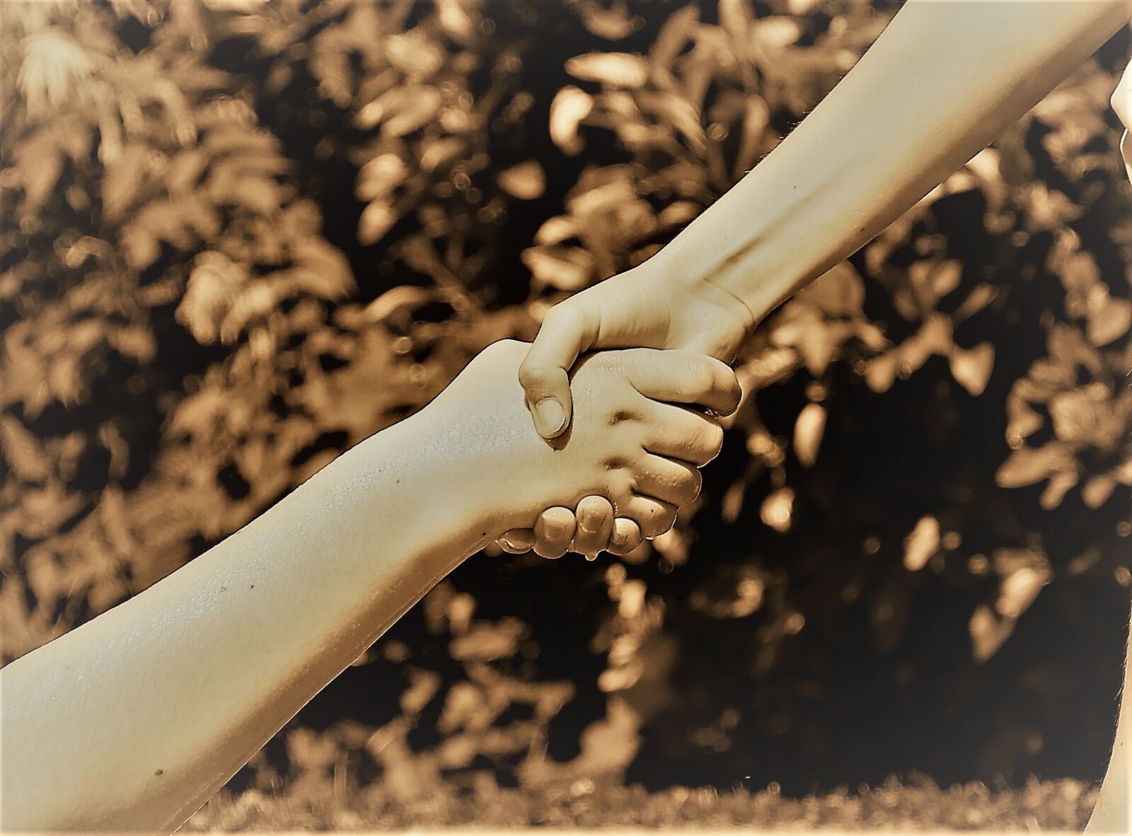 Panasonic DMC-G70 sample photo. Hands, friendship, help photography