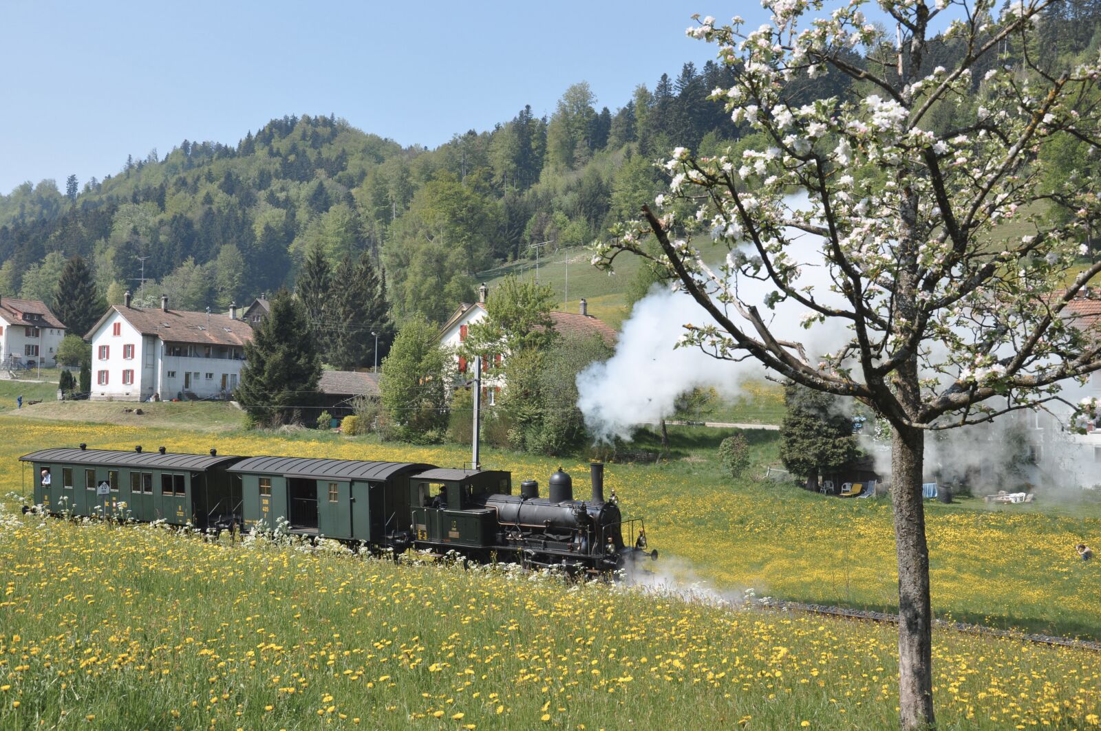 Nikon D90 sample photo. Dvzo, steam locomotive, steam photography