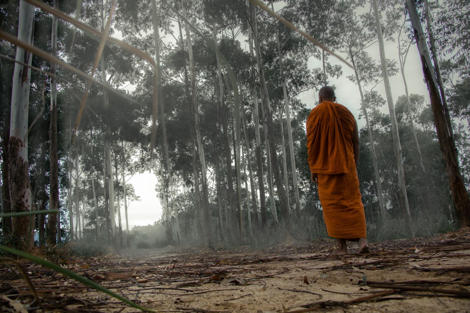Canon EOS 70D + Canon EF-S 18-135mm F3.5-5.6 IS STM sample photo. Meditation, monk, buddhist monk photography