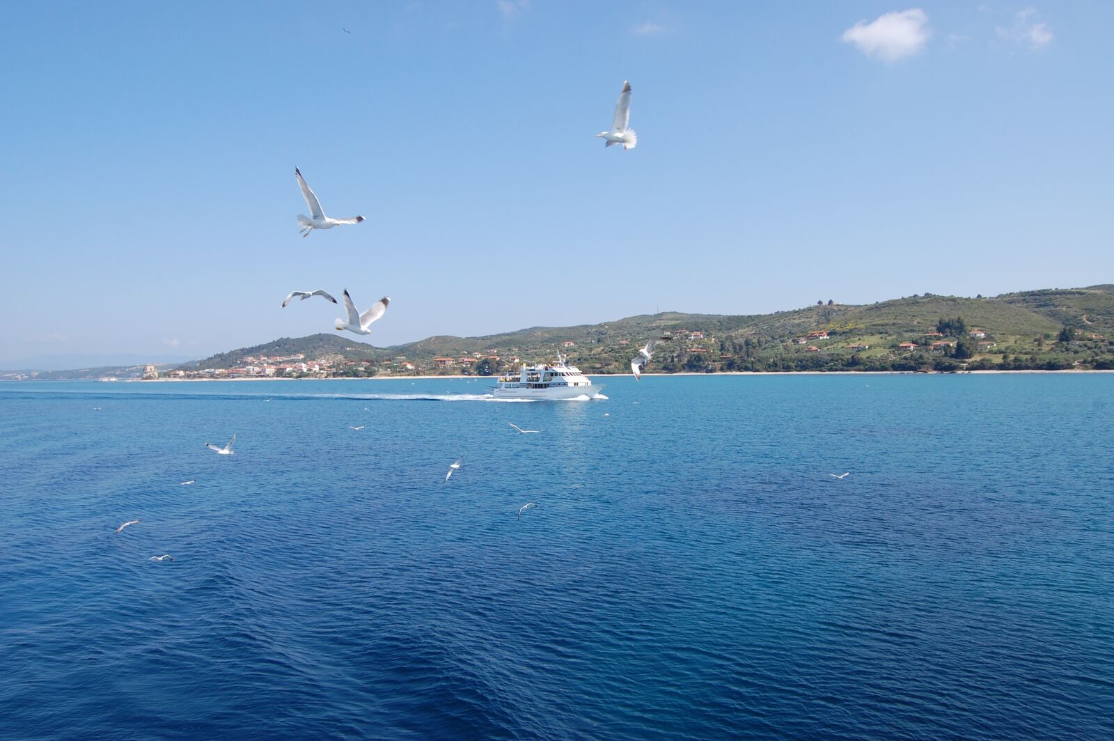 Nikon D40 sample photo. Sea, boat, birds photography