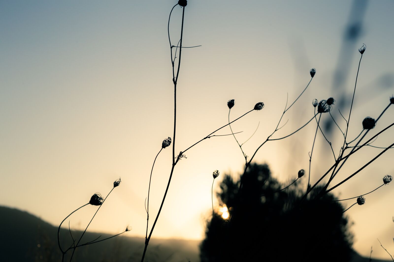 Canon EF75-300mm f/4-5.6 sample photo. Pattern, sky, sunrise photography