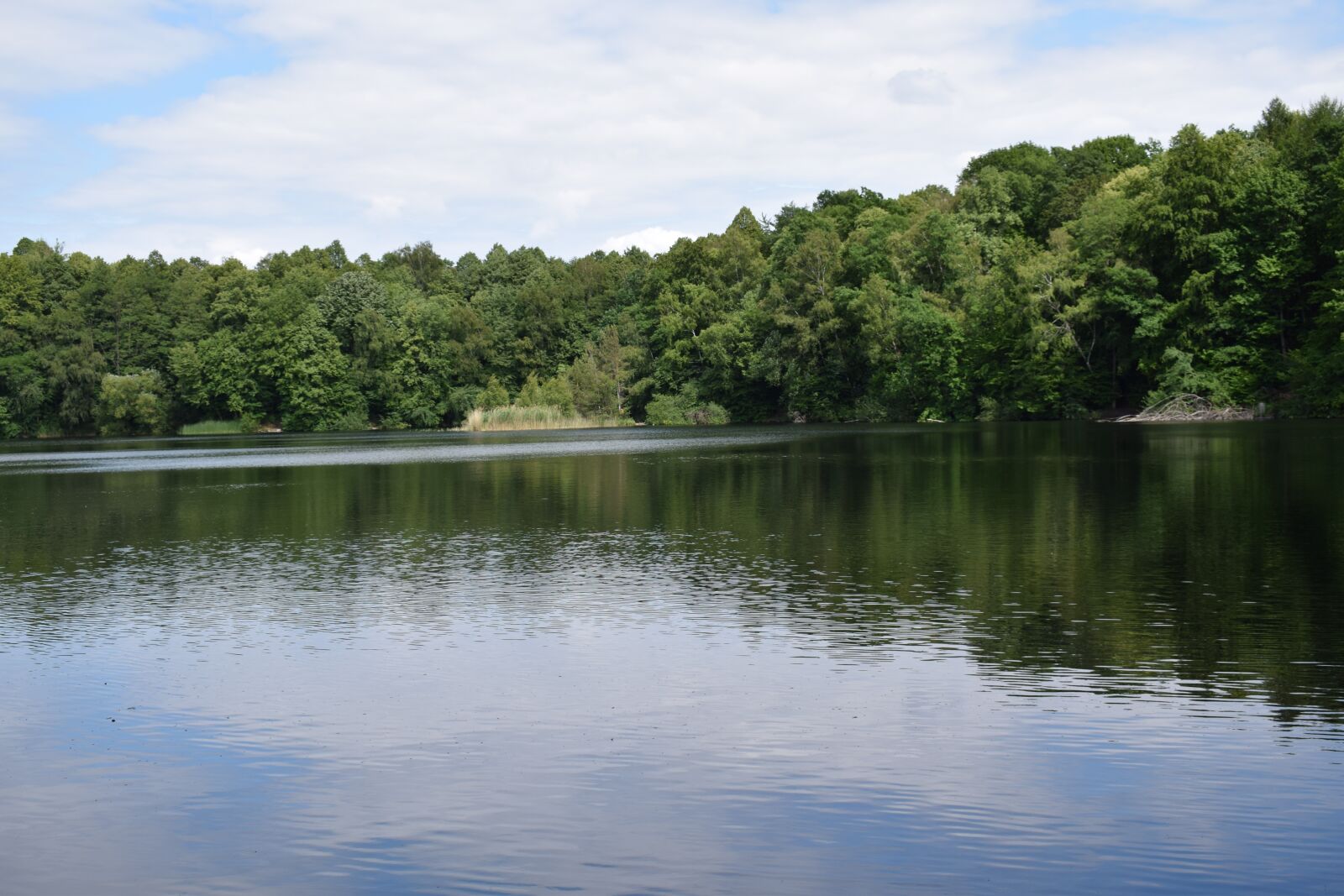 Nikon D5300 sample photo. Lake, forest, landscape photography