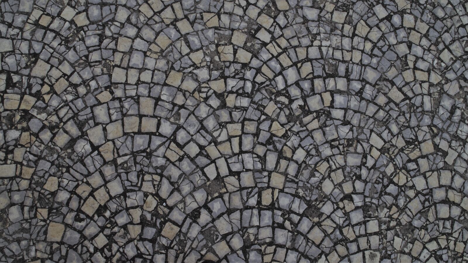 Sony SLT-A58 sample photo. Model, mosaic, texture photography