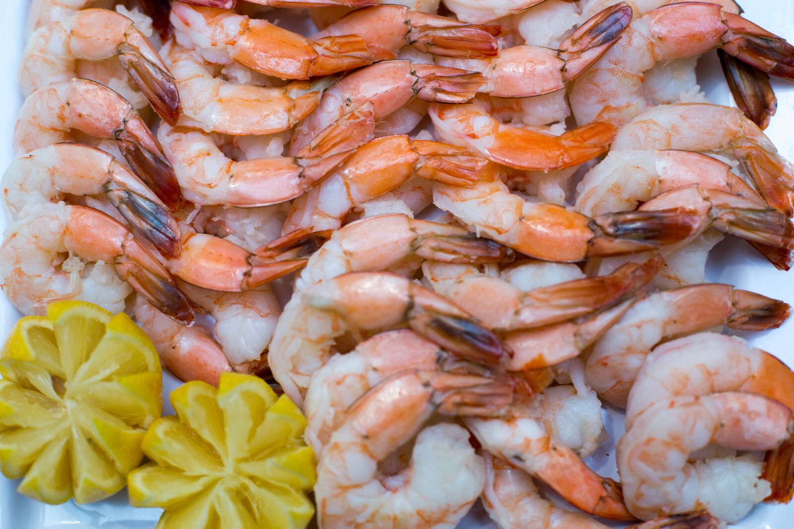 Canon EF 50mm F1.4 USM sample photo. Food, lemon, shrimp photography