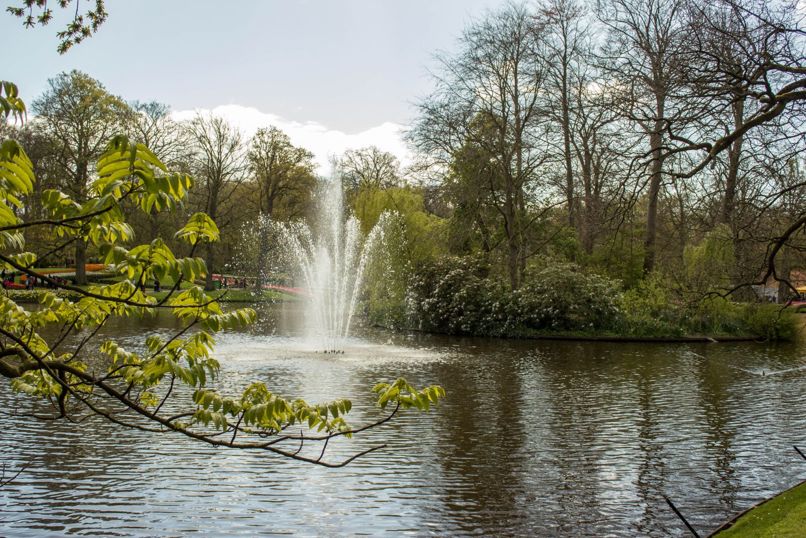 Canon EOS 600D (Rebel EOS T3i / EOS Kiss X5) sample photo. Body of water, pond photography