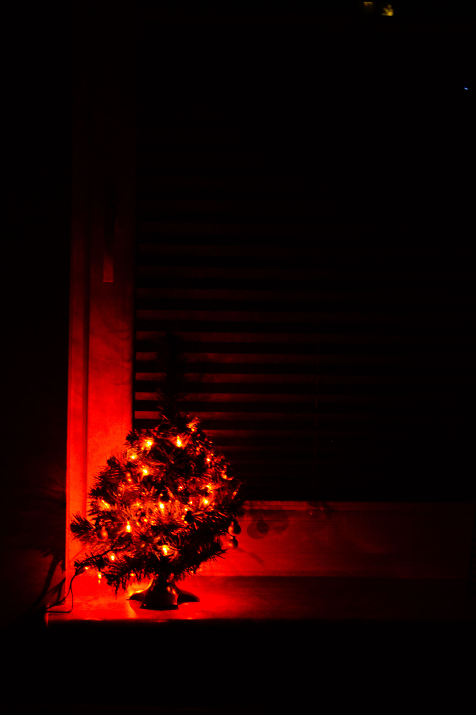 Nikon D3200 sample photo