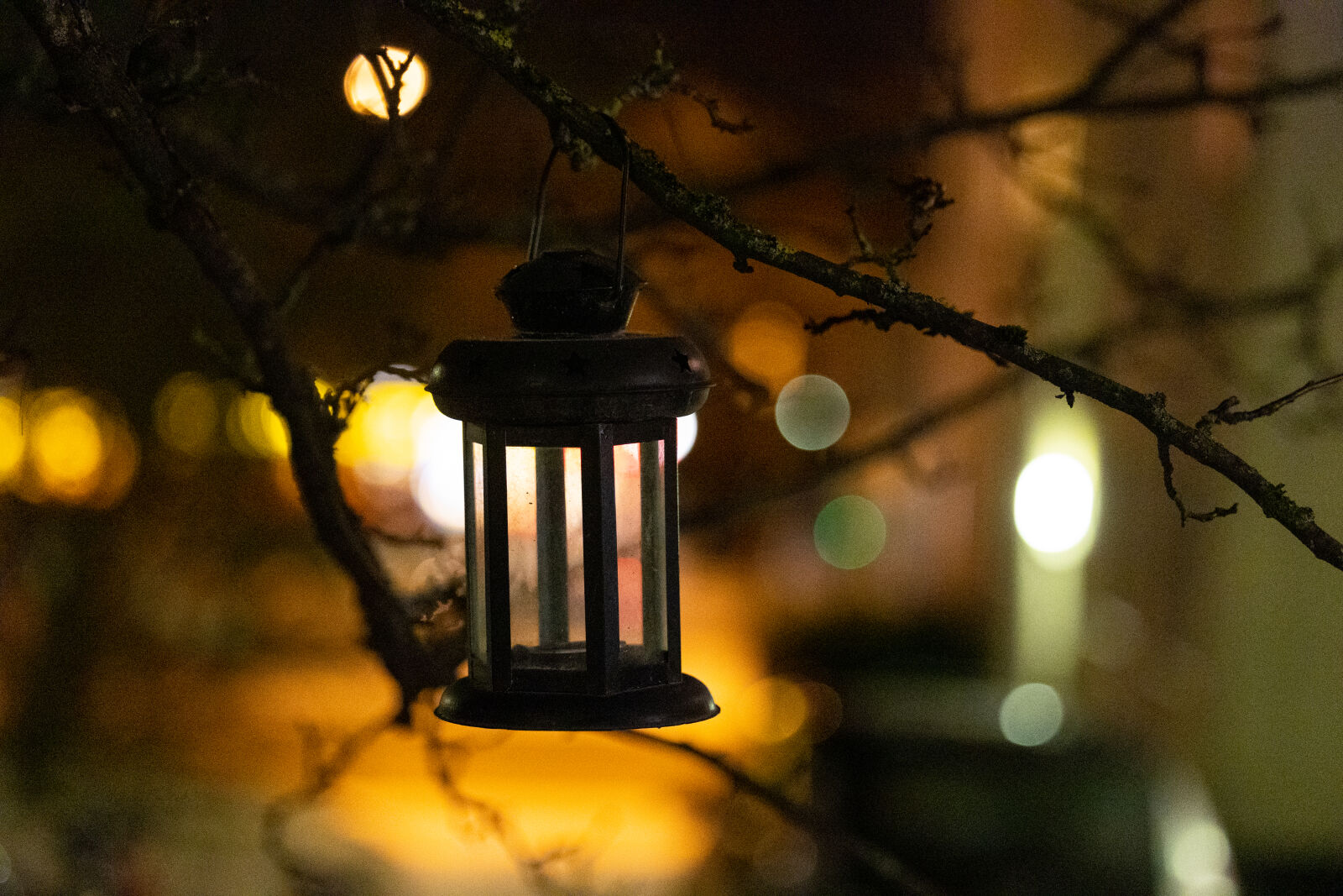 Canon EOS R3 sample photo. Seasonal lantern photography